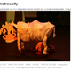 Illustration for article titled Low Budget Milky Whites are the Stuff of Nightmares